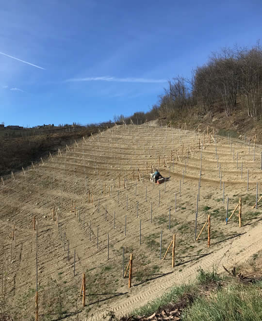 Fräsen im neuen Rebberg